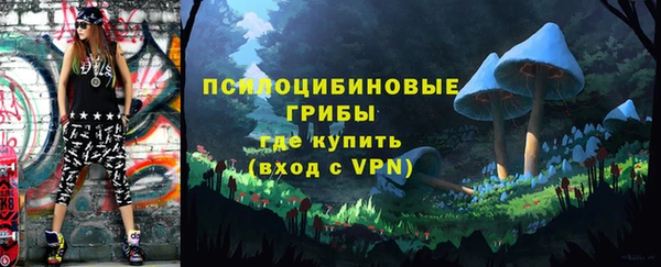 apvp Алексин